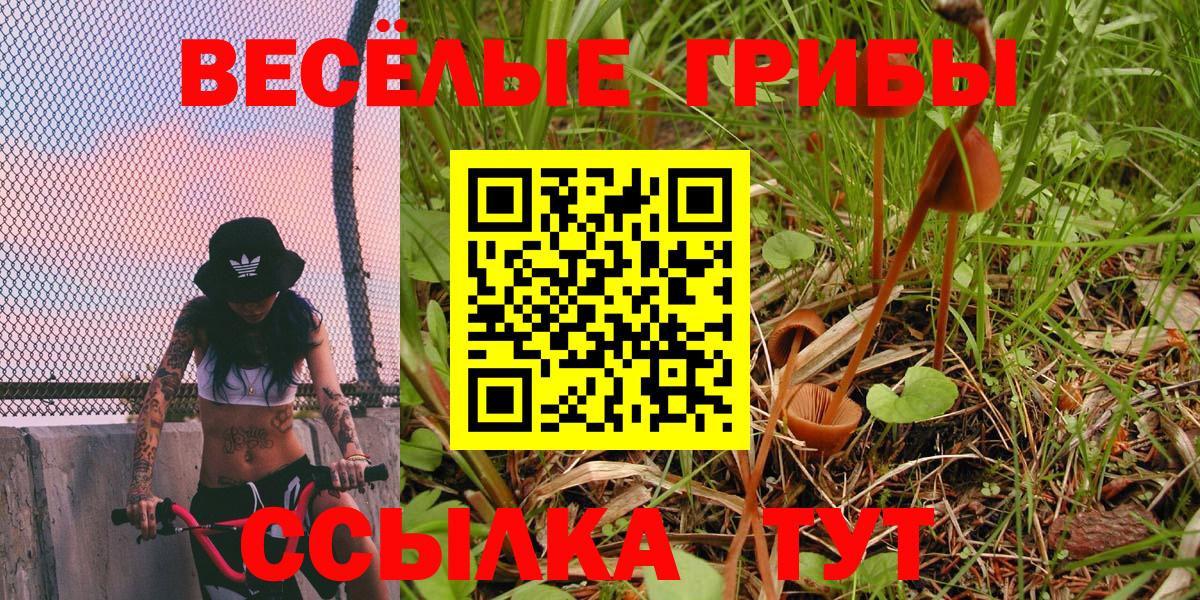Моздок  Галлюциногенные грибы GOLDEN TEACHER  Вход с VPN 