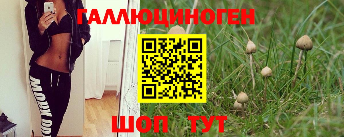 Псилоцибиновые грибы мицелий Моздок